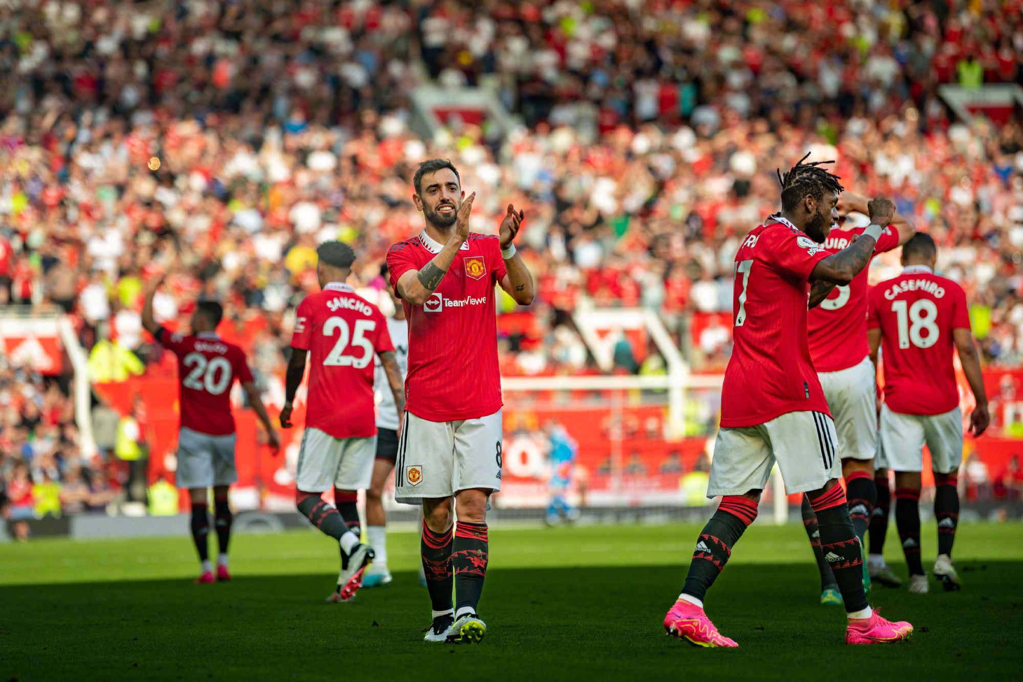 涯绘制了新 涯绘制了新