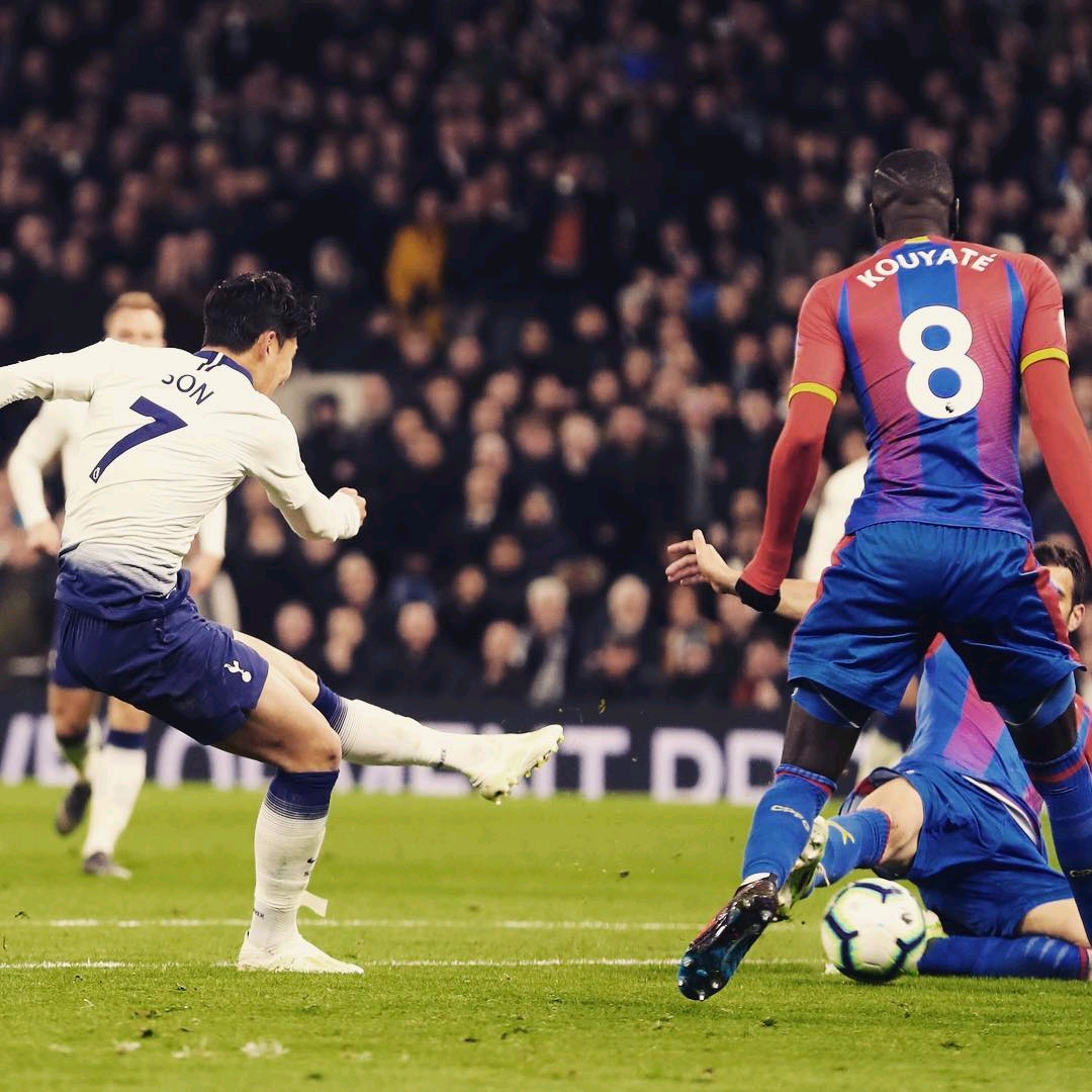 他的职业生 他的职业生